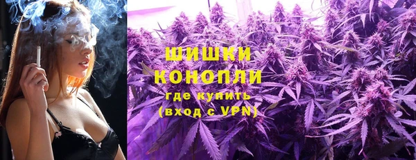 сатива Верхний Тагил