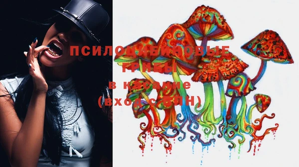 мет Верея